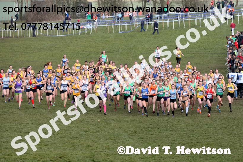 Womens under-20s 2016 Inter Counties Cross Country Champs. and Cross Challenge Final, Cofton Park, Birmingham. Photo: David T. Hewitson/Sports for All Pics